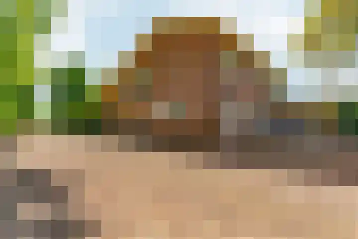 Oud Zevenaarsedijk 1 Zevenaar thumbnail 4