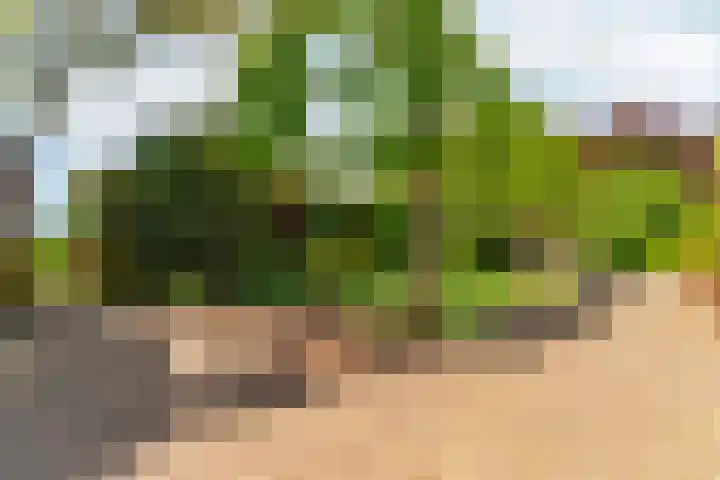 Oud Zevenaarsedijk 1 Zevenaar thumbnail 40