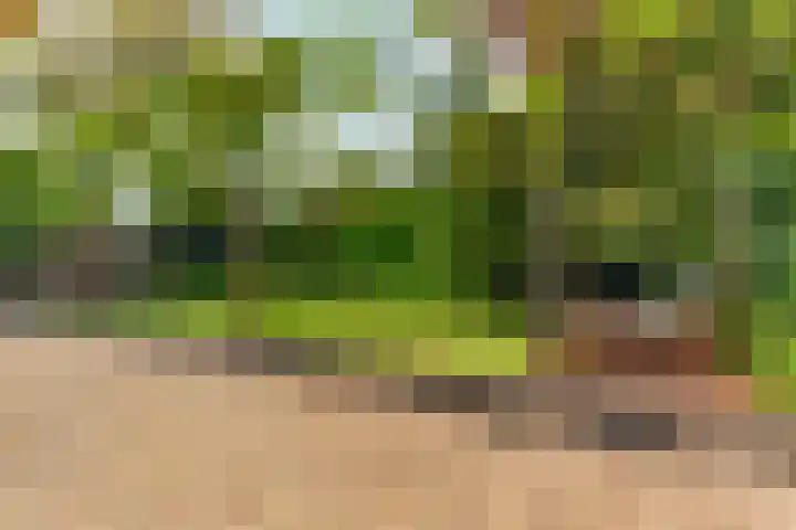 Oud Zevenaarsedijk 1 Zevenaar thumbnail 41