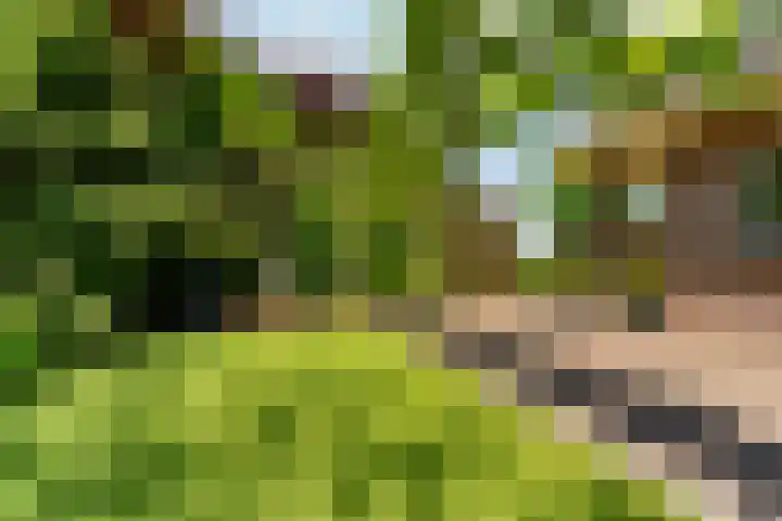 Oud Zevenaarsedijk 1 Zevenaar thumbnail 42