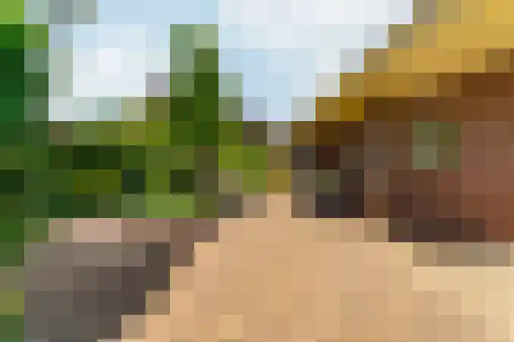 Oud Zevenaarsedijk 1 Zevenaar thumbnail 44