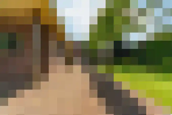 Oud Zevenaarsedijk 1 Zevenaar thumbnail 45