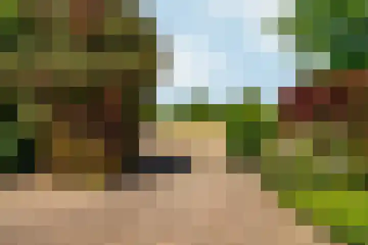 Oud Zevenaarsedijk 1 Zevenaar thumbnail 53