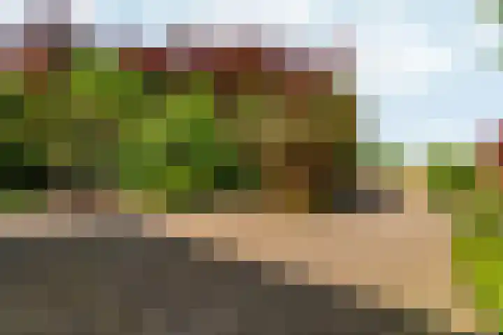 Oud Zevenaarsedijk 1 Zevenaar thumbnail 54