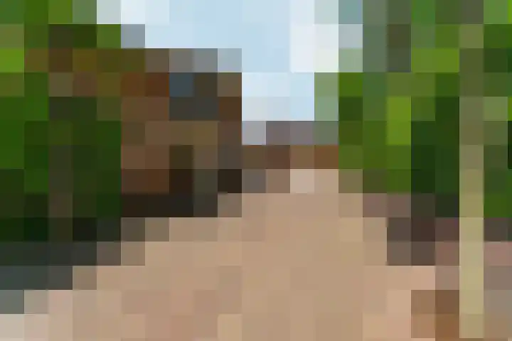 Oud Zevenaarsedijk 1 Zevenaar thumbnail 60
