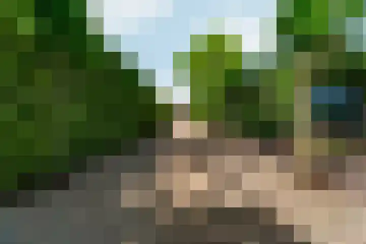 Oud Zevenaarsedijk 1 Zevenaar thumbnail 61