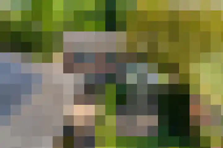 Oud Zevenaarsedijk 1 Zevenaar thumbnail 63