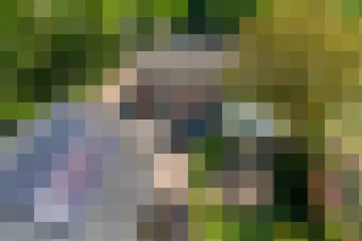 Oud Zevenaarsedijk 1 Zevenaar thumbnail 64