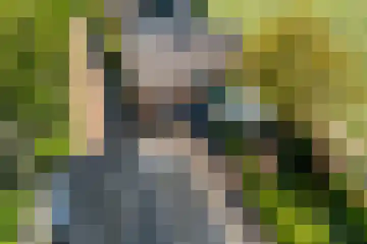Oud Zevenaarsedijk 1 Zevenaar thumbnail 65