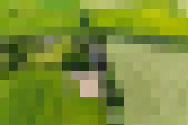 Oud Zevenaarsedijk 1 Zevenaar thumbnail 67