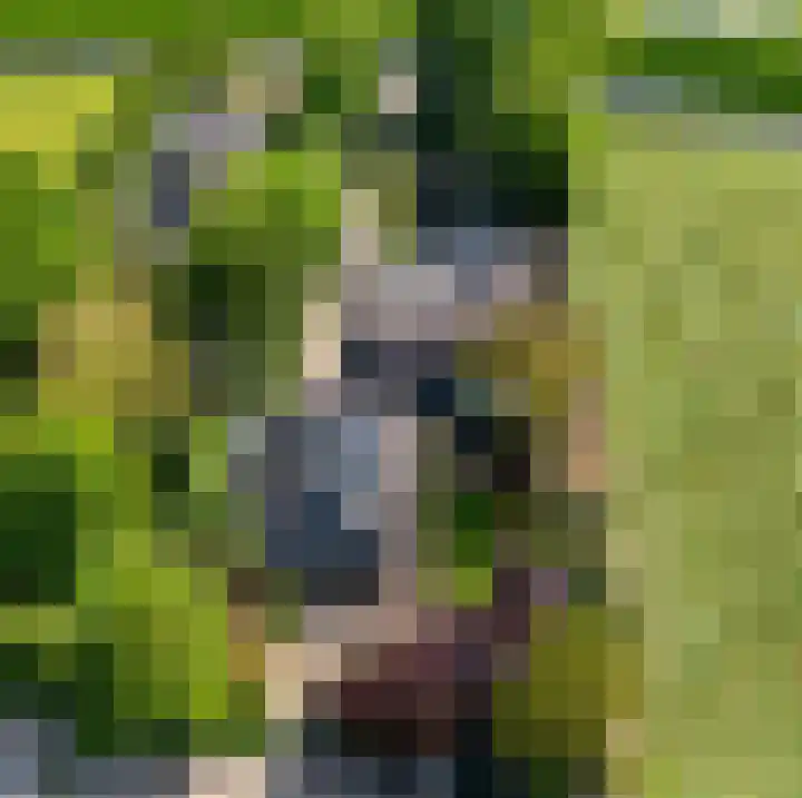 Oud Zevenaarsedijk 1 Zevenaar thumbnail 68