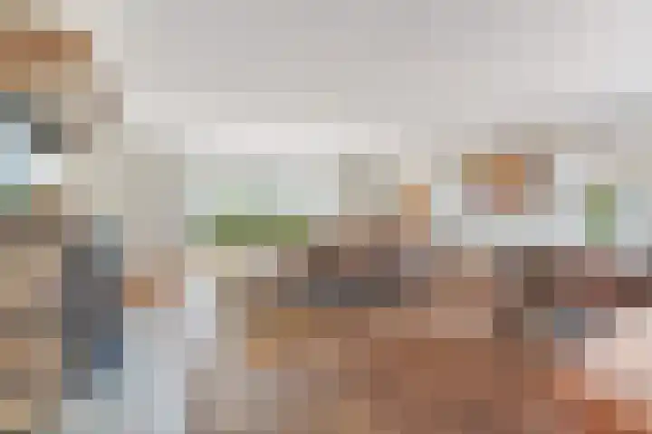 Oud Zevenaarsedijk 1 Zevenaar thumbnail 7
