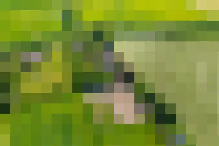 Oud Zevenaarsedijk 1 Zevenaar thumbnail 70