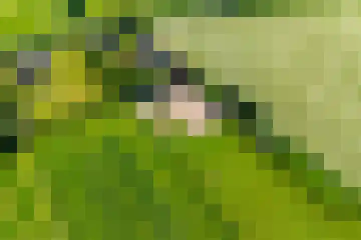 Oud Zevenaarsedijk 1 Zevenaar thumbnail 71