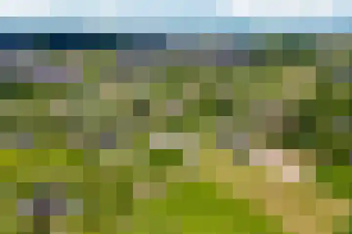 Oud Zevenaarsedijk 1 Zevenaar thumbnail 73