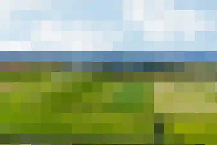 Oud Zevenaarsedijk 1 Zevenaar thumbnail 74