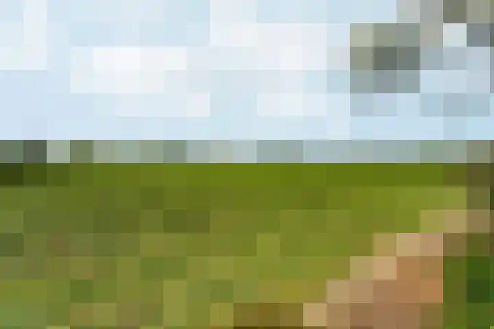 Oud Zevenaarsedijk 1 Zevenaar thumbnail 75
