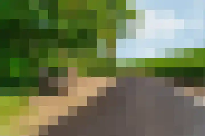 Oud Zevenaarsedijk 1 Zevenaar thumbnail 76