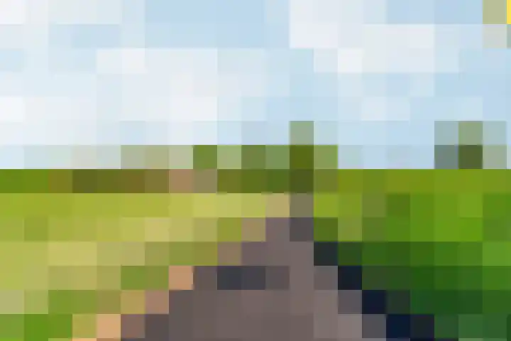 Oud Zevenaarsedijk 1 Zevenaar thumbnail 77