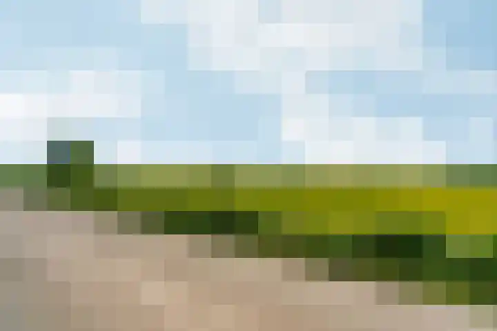 Oud Zevenaarsedijk 1 Zevenaar thumbnail 78