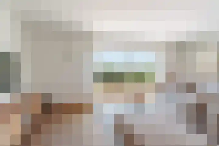 Oud Zevenaarsedijk 1 Zevenaar thumbnail 8