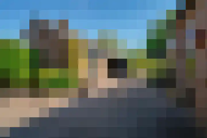 Oud Zevenaarseweg 19 Zevenaar thumbnail 22