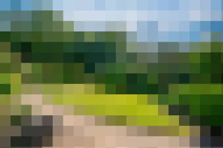 Oud Zevenaarseweg 19 Zevenaar thumbnail 26