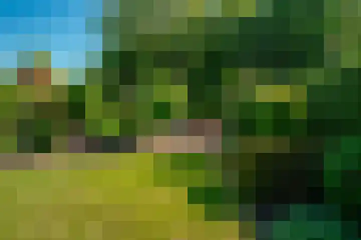 Oud Zevenaarseweg 19 Zevenaar thumbnail 27