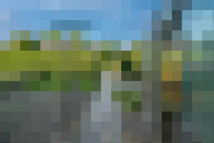 Oud Zevenaarseweg 19 Zevenaar thumbnail 29
