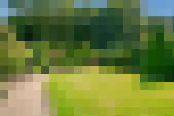 Oud Zevenaarseweg 19 Zevenaar thumbnail 30