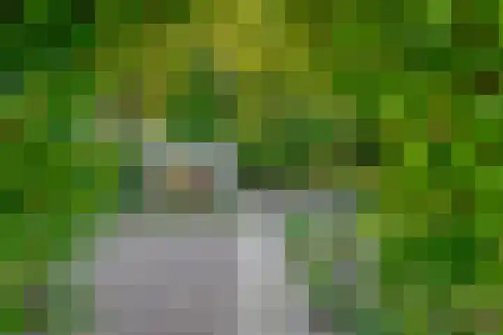Oud Zevenaarseweg 19 Zevenaar thumbnail 31