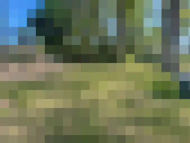 Oud Zevenaarseweg 19 Zevenaar thumbnail 43