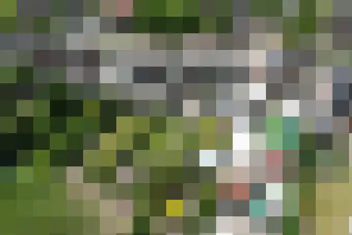 Oud Zevenaarseweg 19 Zevenaar thumbnail 47