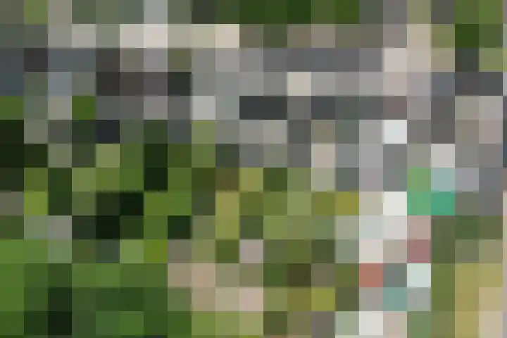 Oud Zevenaarseweg 19 Zevenaar thumbnail 48