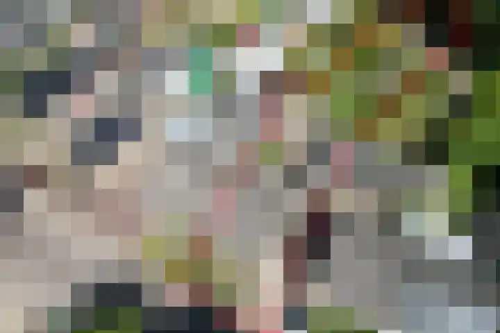 Oud Zevenaarseweg 19 Zevenaar thumbnail 5