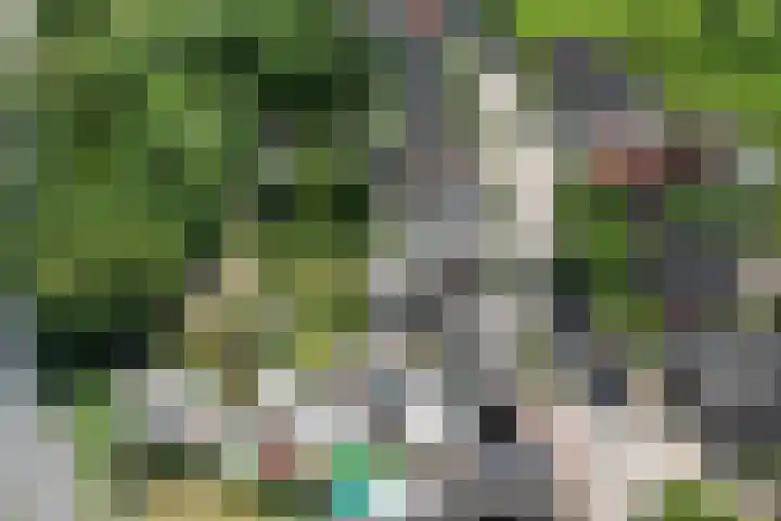 Oud Zevenaarseweg 19 Zevenaar thumbnail 6