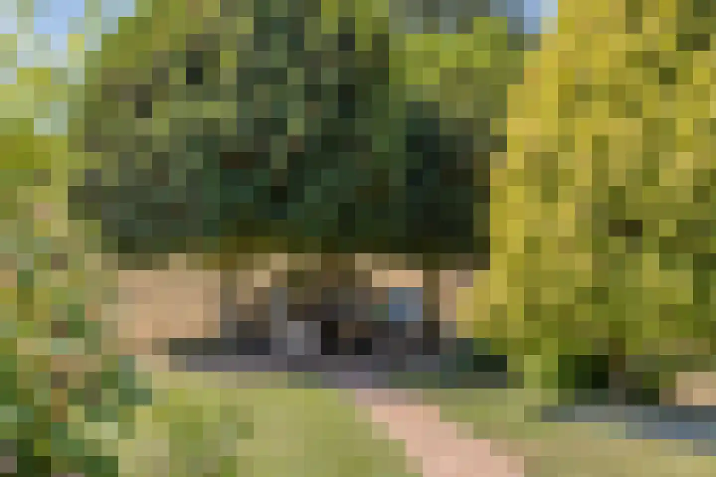 Oud Zevenaarseweg 98 Zevenaar thumbnail 42