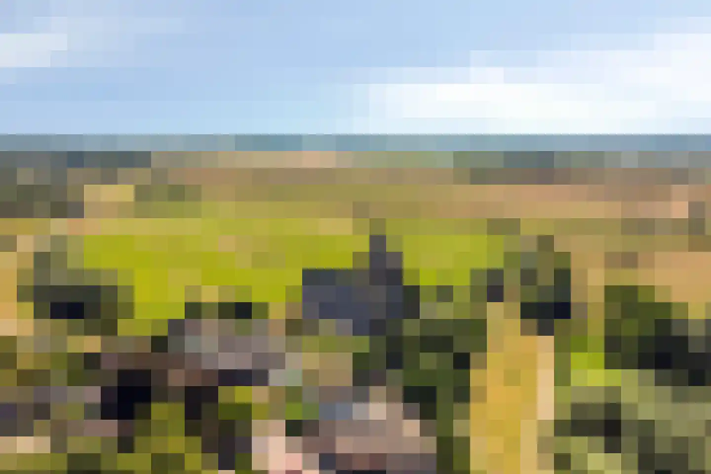 Oud Zevenaarseweg 98 Zevenaar thumbnail 7