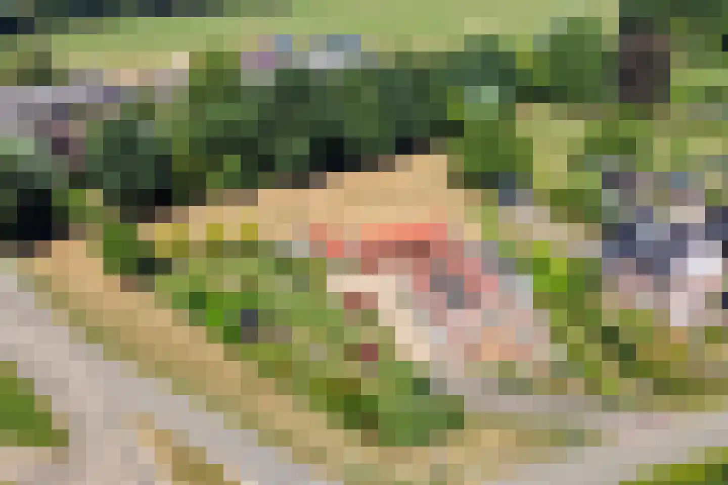 Oud Zevenaarseweg 98 Zevenaar thumbnail 8