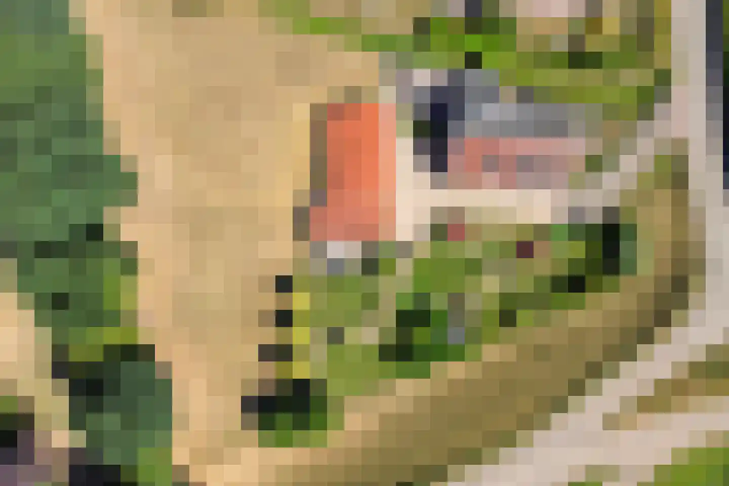 Oud Zevenaarseweg 98 Zevenaar thumbnail 9