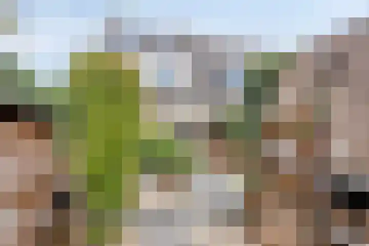 Oudaanstede 25 's-Hertogenbosch thumbnail 17