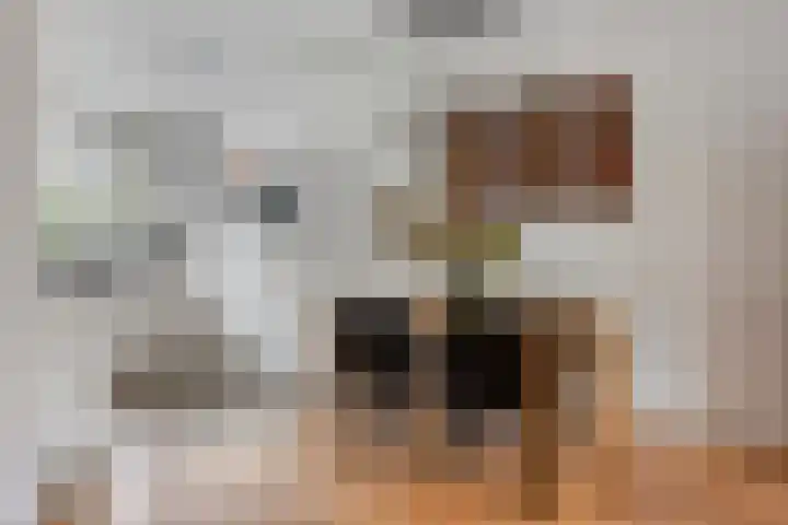Oudaanstede 25 's-Hertogenbosch thumbnail 7