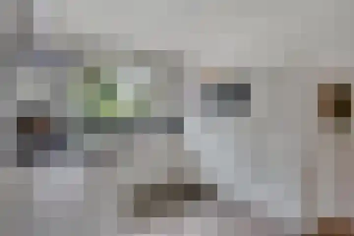 Oudaanstede 25 's-Hertogenbosch thumbnail 8