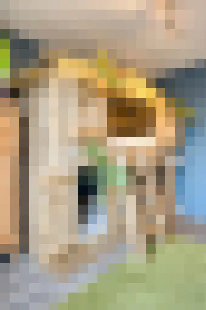Oudaanstede 37 's-Hertogenbosch thumbnail 20