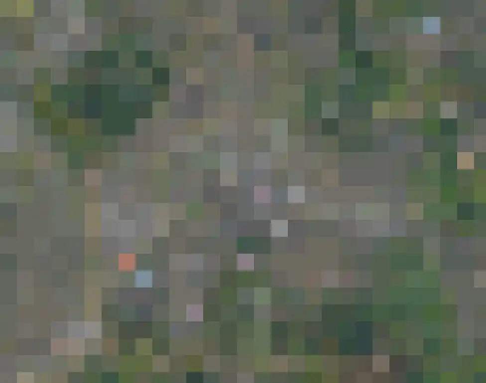 Oudaen 129 Eindhoven thumbnail 10
