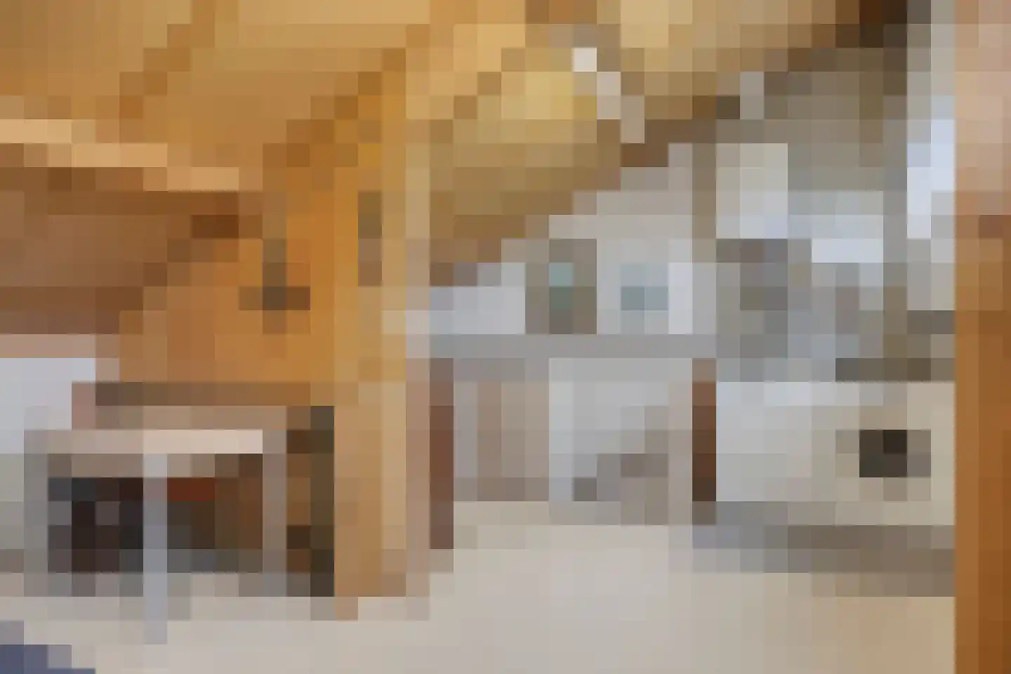 Oudaen 131 Eindhoven thumbnail 29