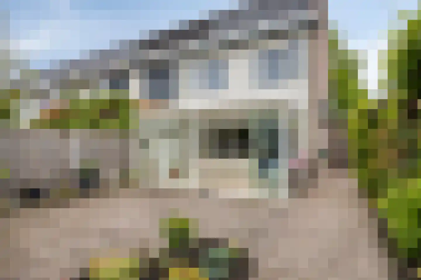 Oudaen 131 Eindhoven thumbnail 36