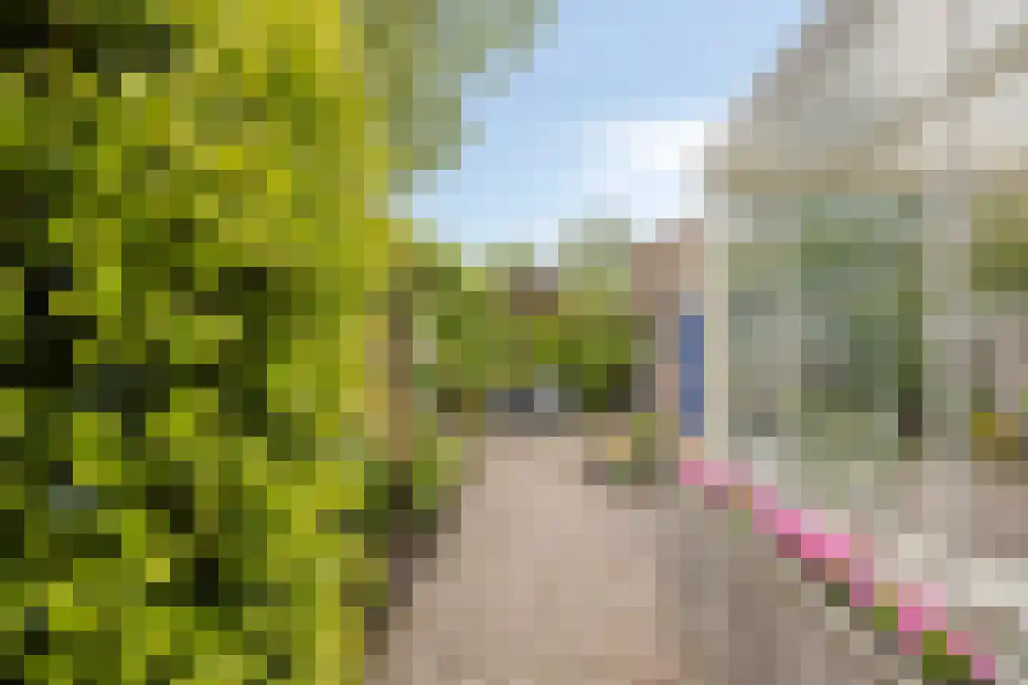 Oudaen 131 Eindhoven thumbnail 37