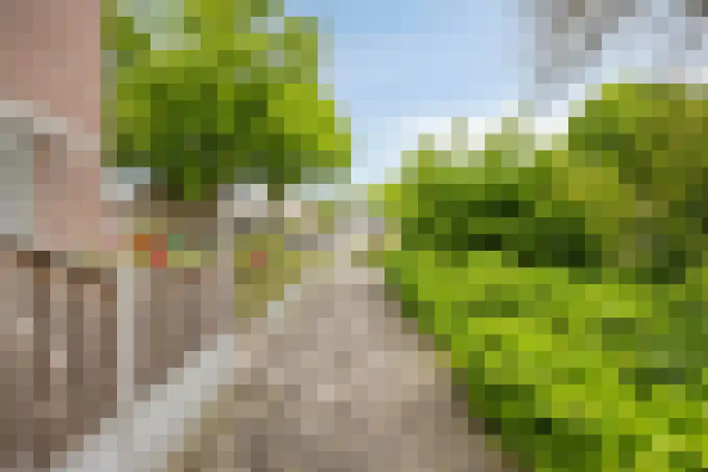Oudaen 131 Eindhoven thumbnail 41