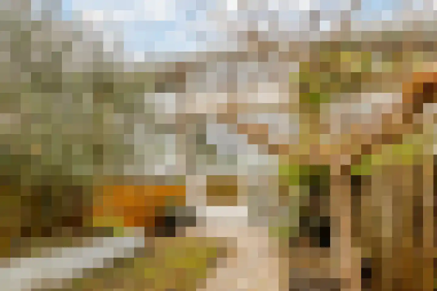 Oudaen 15 Amsterdam thumbnail 26